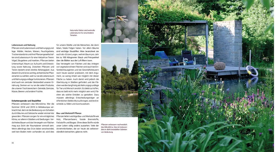 Sample Content (Image) Pflanzenkompositionen für den Naturgarten