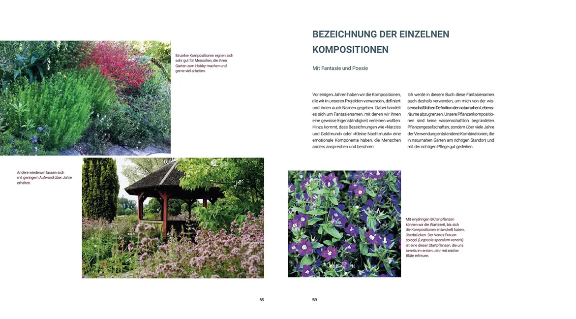Sample Content (Image) Pflanzenkompositionen für den Naturgarten