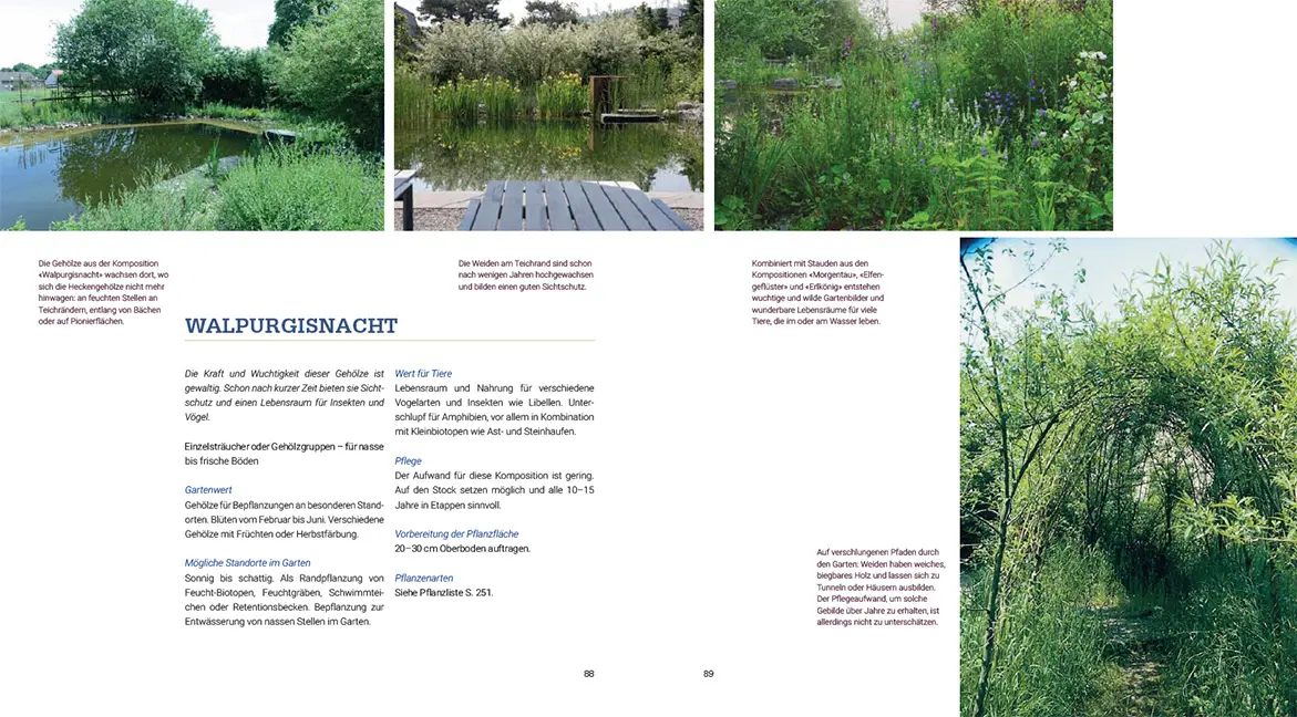 Sample Content (Image) Pflanzenkompositionen für den Naturgarten