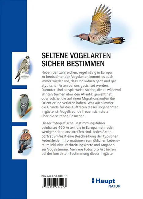 Back Cover Image Irrgäste