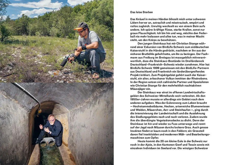 Sample Content (Image) Arten vor dem Aus