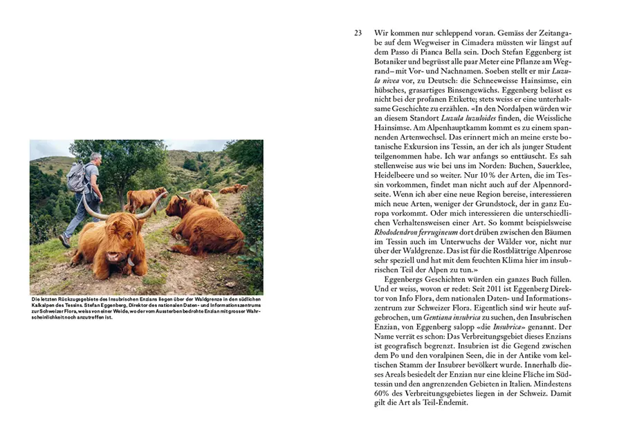 Sample Content (Image) Arten vor dem Aus