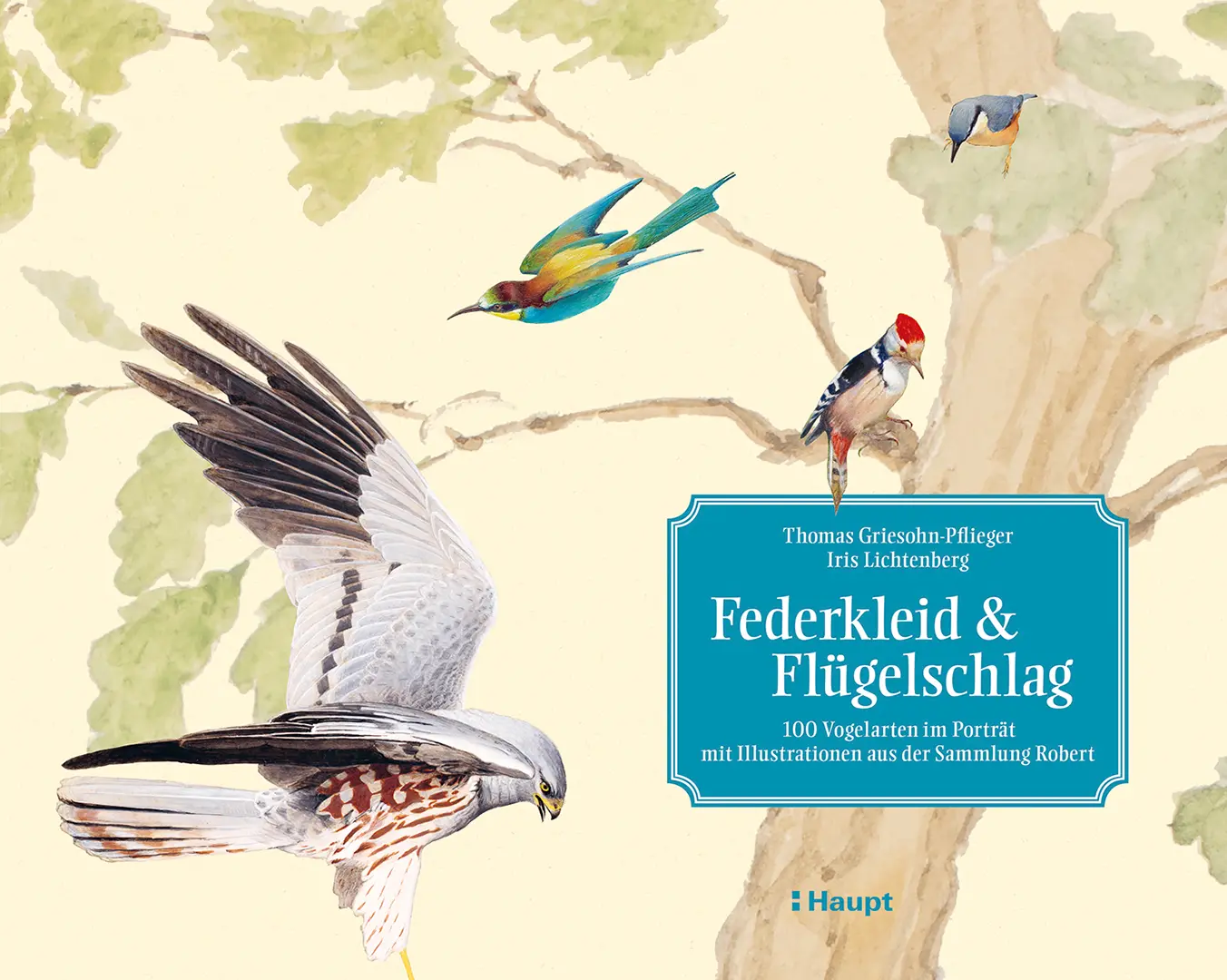 Front Cover Image Federkleid & Flügelschlag