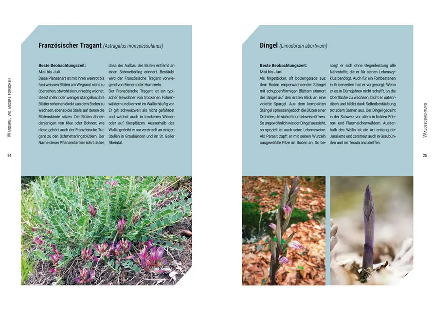 Sample Content (Image) Wandern, wo andere forschen