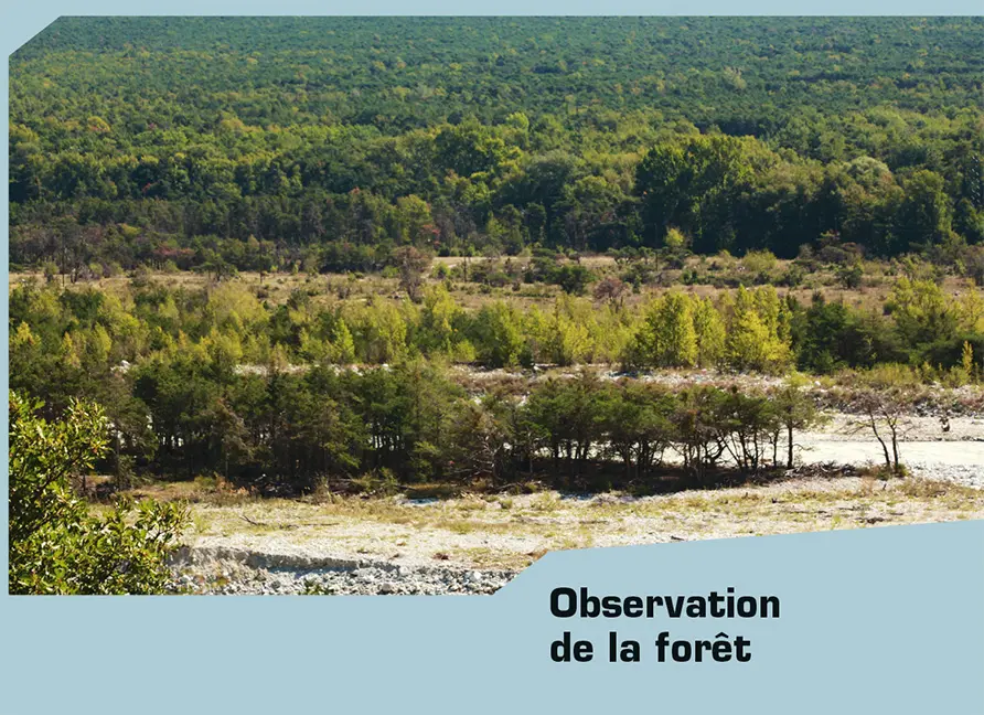 Sample Content (Image) Sur les sentiers valaisans de la recherche