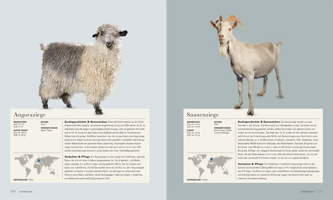 Sample Content (Image) Die Ziege