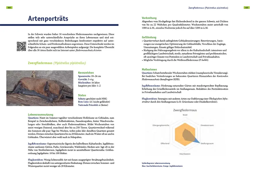 Sample Content (Image) Fledermausschutz