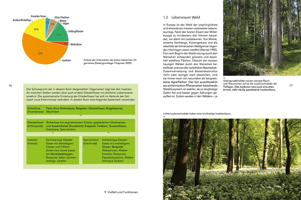 Sample Content (Image) Insekten im Wald