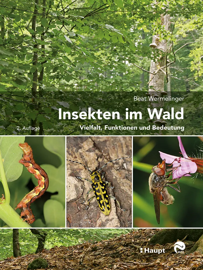 Front Cover Image Insekten im Wald