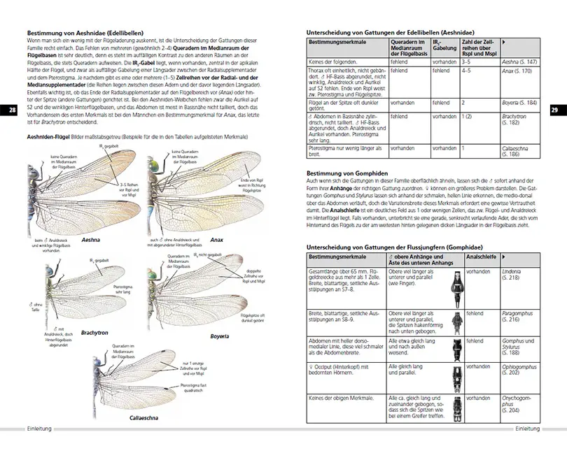 Sample Content (Image) Libellen Europas