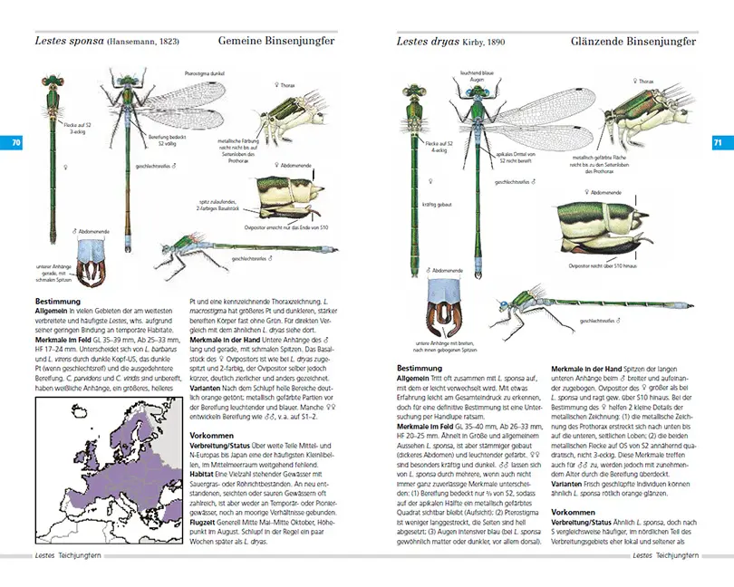 Sample Content (Image) Libellen Europas