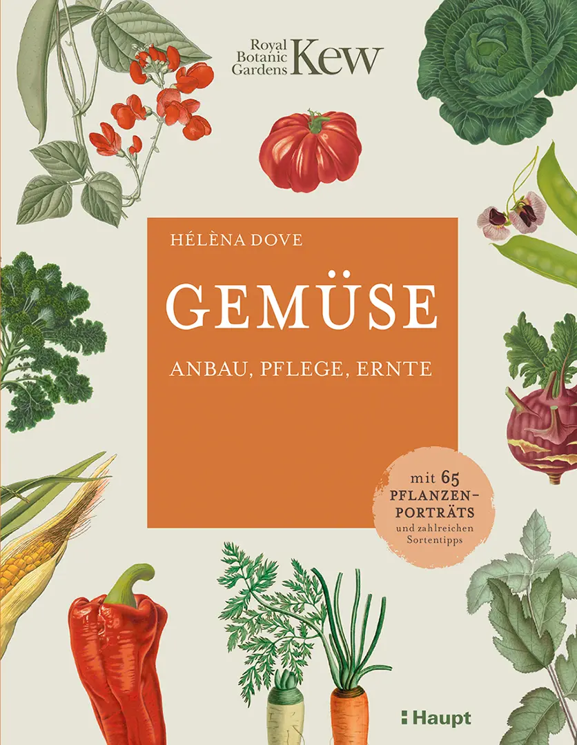 Front Cover Image Gemüse
