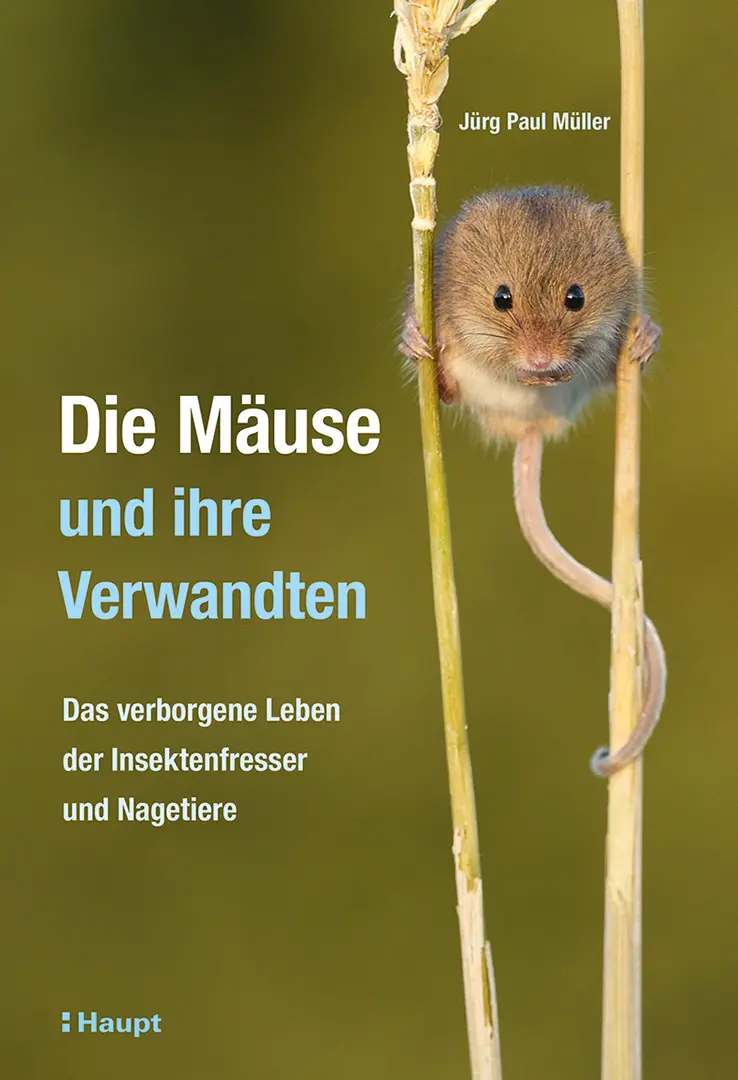 Front Cover Image Die Mäuse und ihre Verwandten