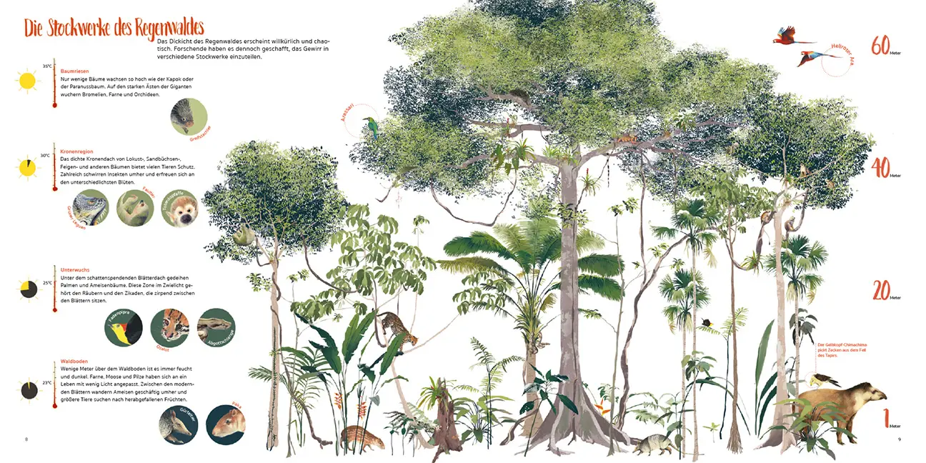 Sample Content (Image) Amazonien