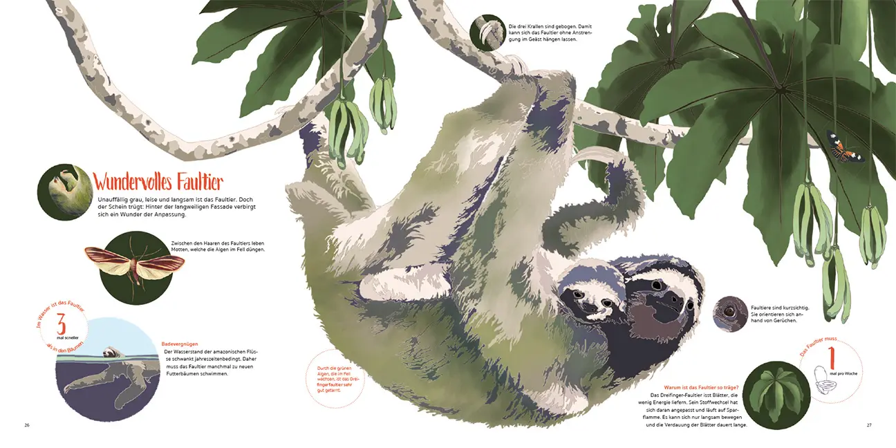 Sample Content (Image) Amazonien