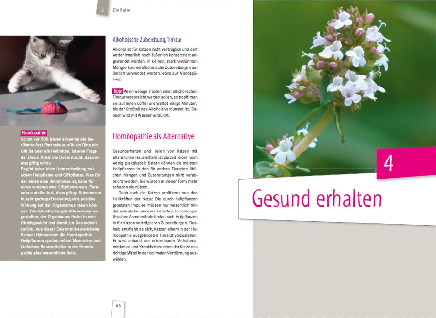 Sample Content (Image) Heilende Kräuter für Tiere