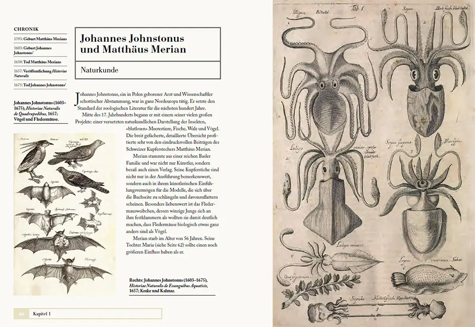 Sample Content (Image) Tiere ordnen