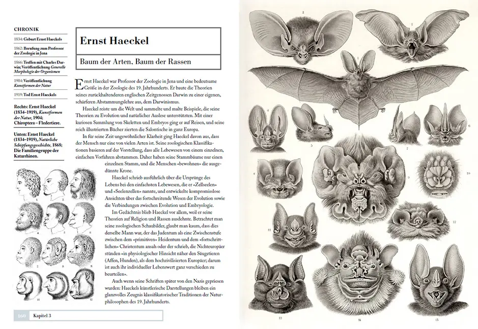 Sample Content (Image) Tiere ordnen