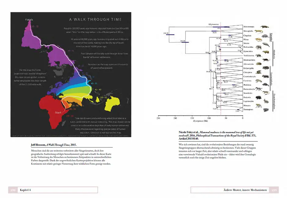 Sample Content (Image) Tiere ordnen