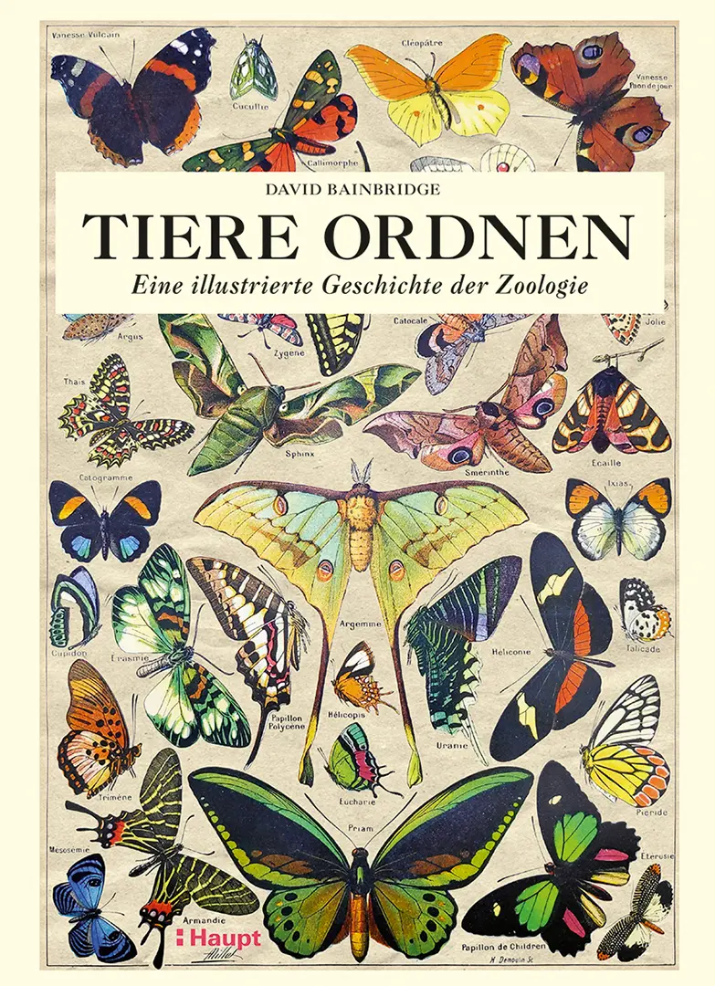 Front Cover Image Tiere ordnen