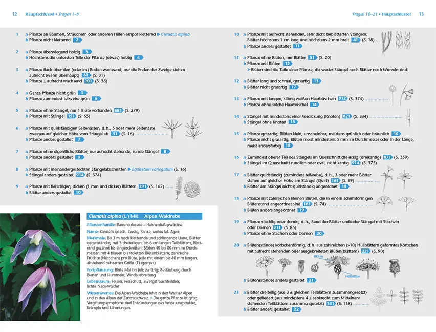 Sample Content (Image) Alpenpflanzen einfach bestimmen