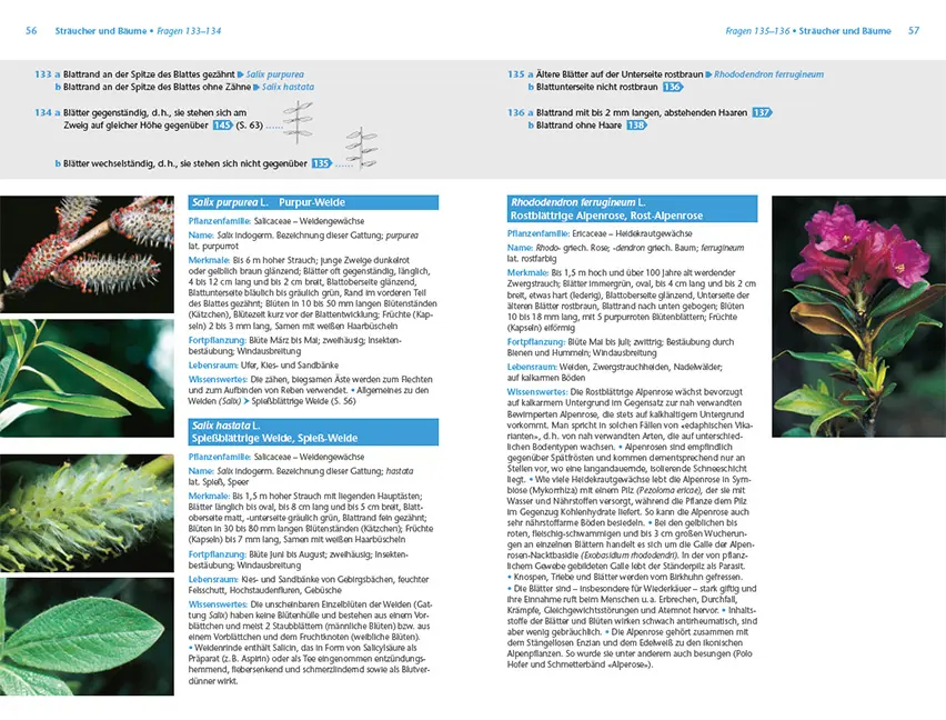 Sample Content (Image) Alpenpflanzen einfach bestimmen