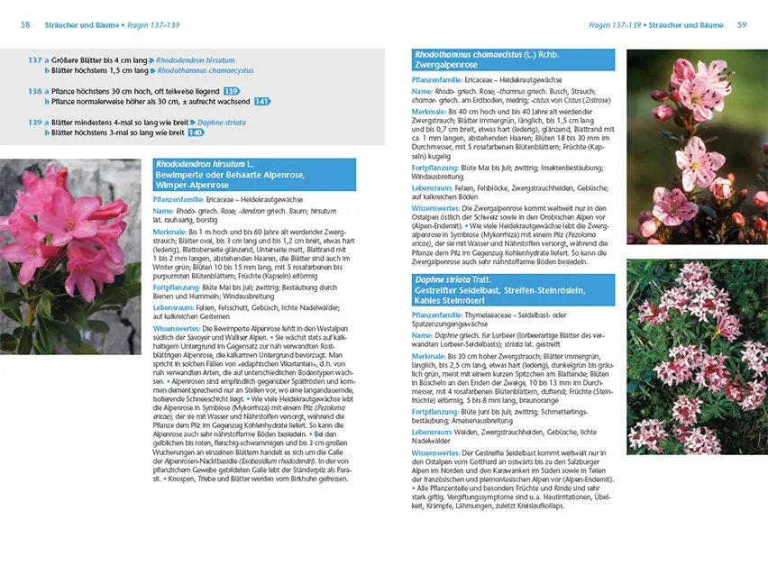 Sample Content (Image) Alpenpflanzen einfach bestimmen