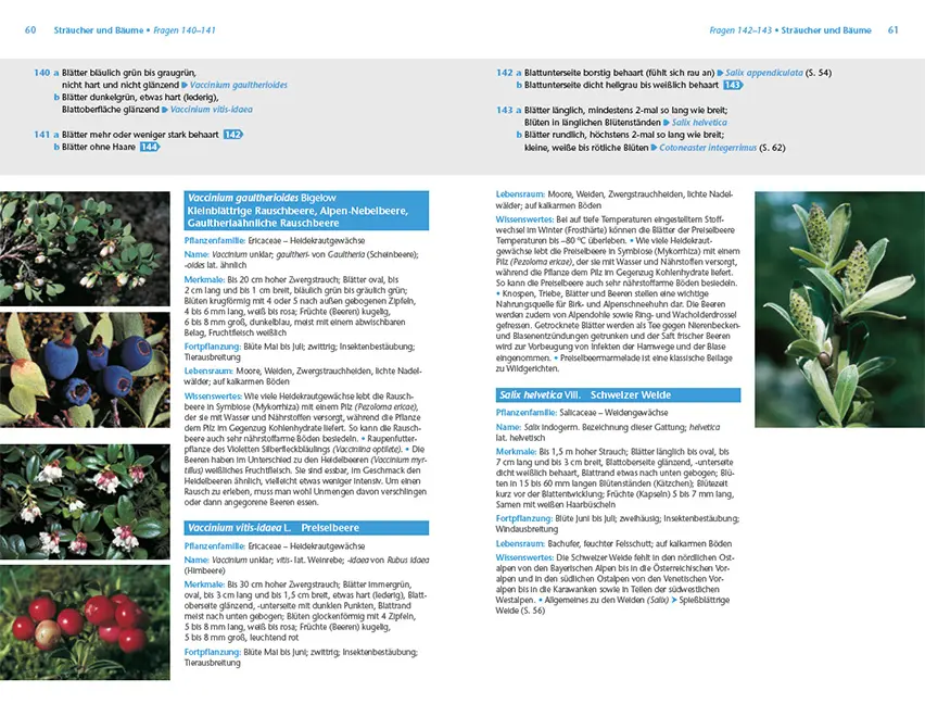 Sample Content (Image) Alpenpflanzen einfach bestimmen