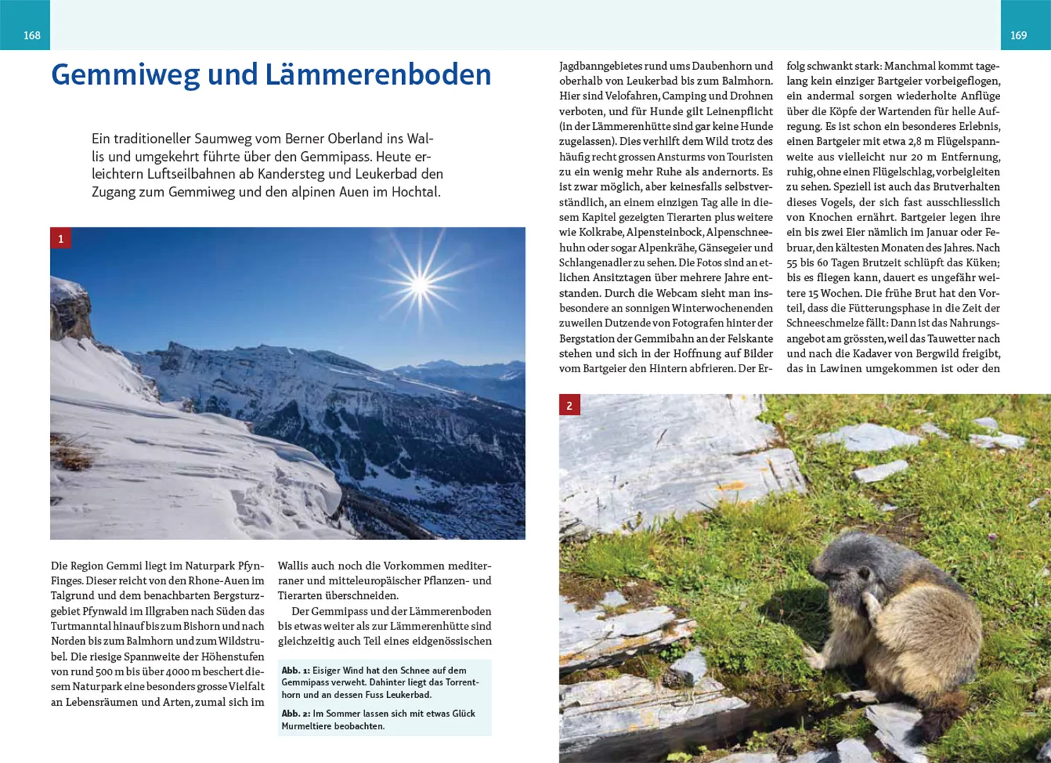 Sample Content (Image) An wilden Wassern und stillen Ufern