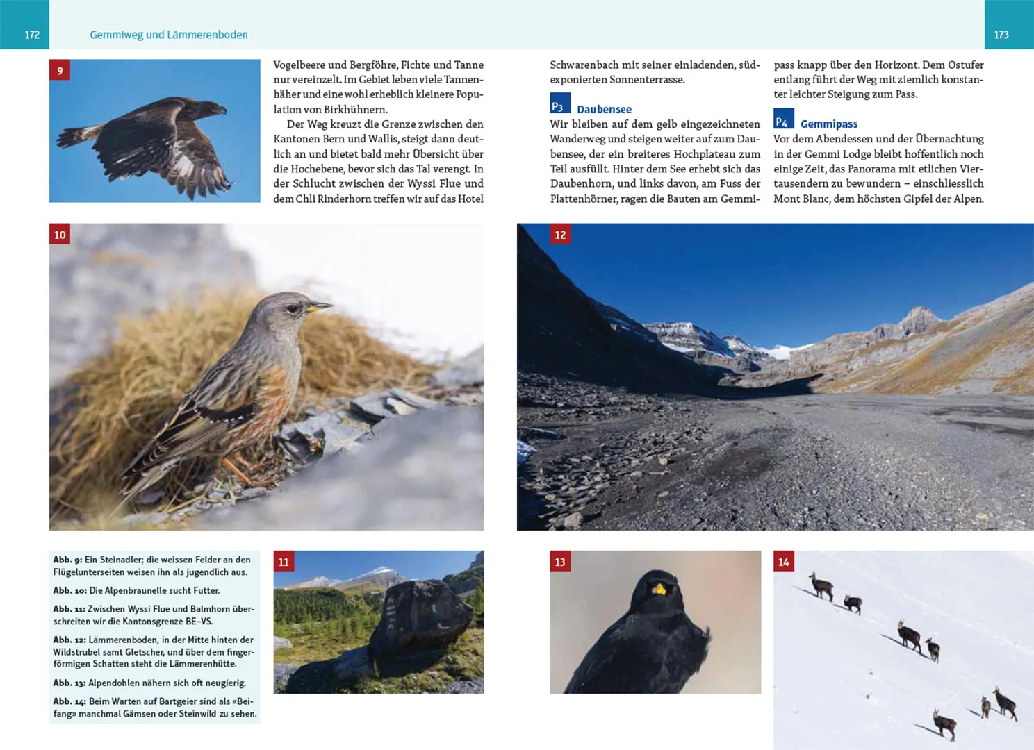 Sample Content (Image) An wilden Wassern und stillen Ufern