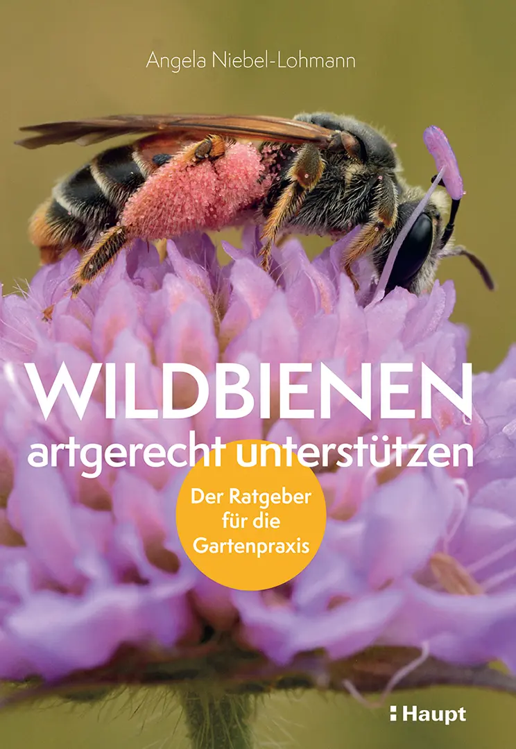 Front Cover Image Wildbienen artgerecht unterstützen