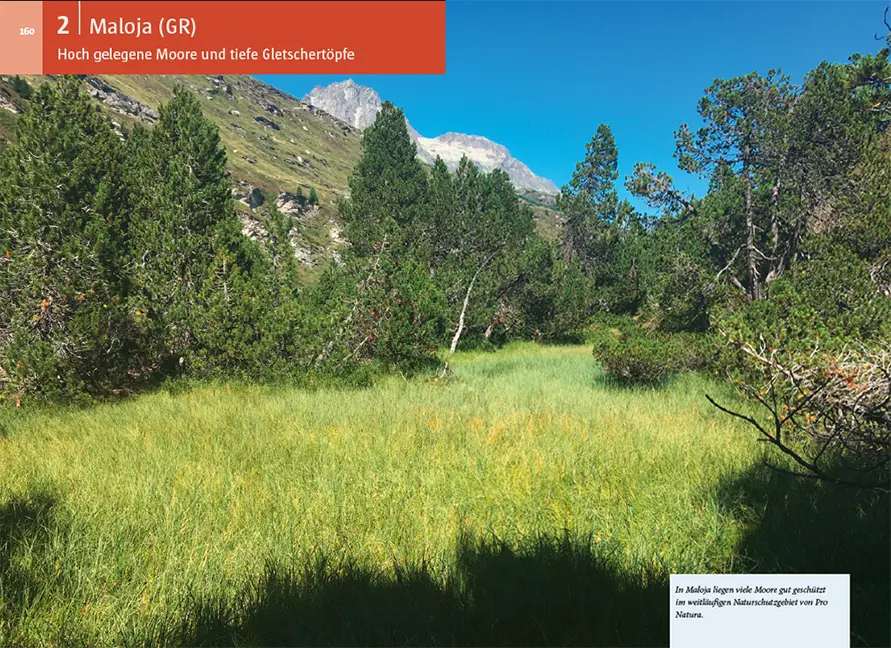 Sample Content (Image) Moorwanderungen