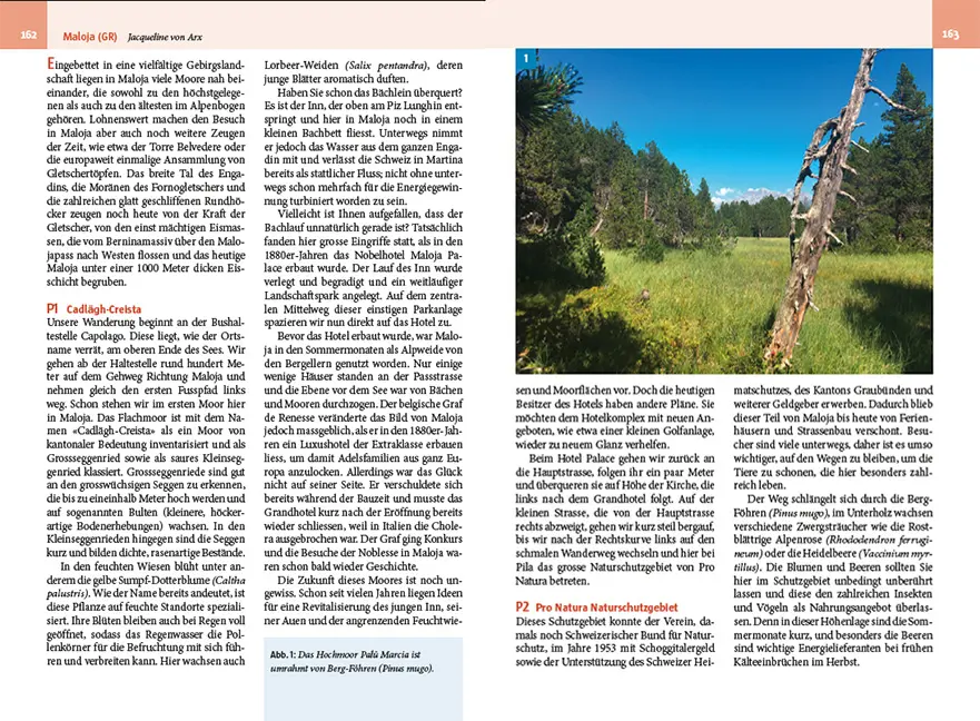 Sample Content (Image) Moorwanderungen