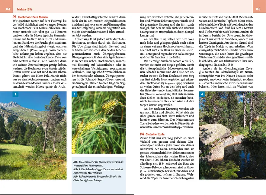 Sample Content (Image) Moorwanderungen