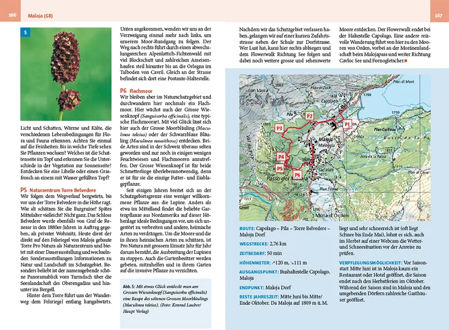 Sample Content (Image) Moorwanderungen