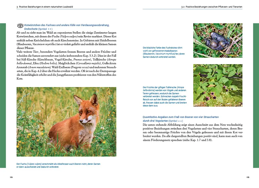 Sample Content (Image) Symbiosen in unseren Wiesen, Wäldern und Mooren