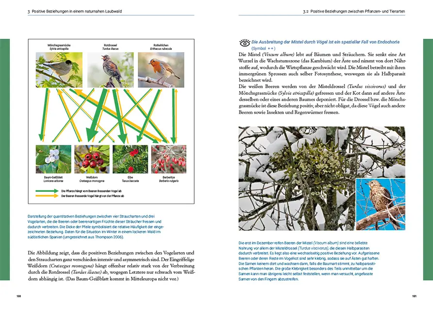 Sample Content (Image) Symbiosen in unseren Wiesen, Wäldern und Mooren