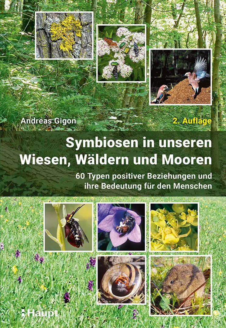 Front Cover Image Symbiosen in unseren Wiesen, Wäldern und Mooren