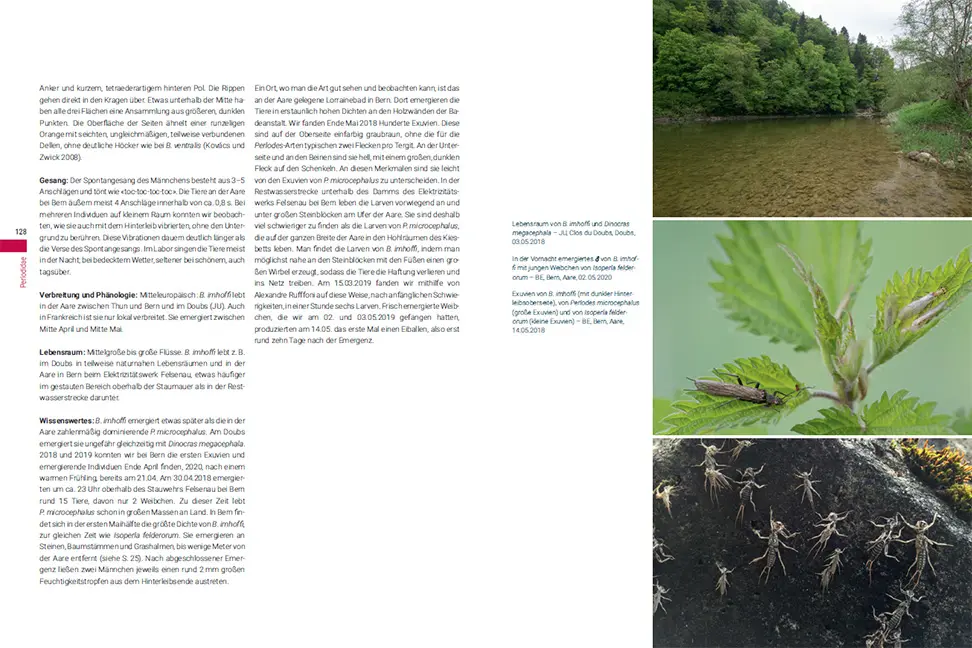 Sample Content (Image) Die Steinfliegen der Schweiz