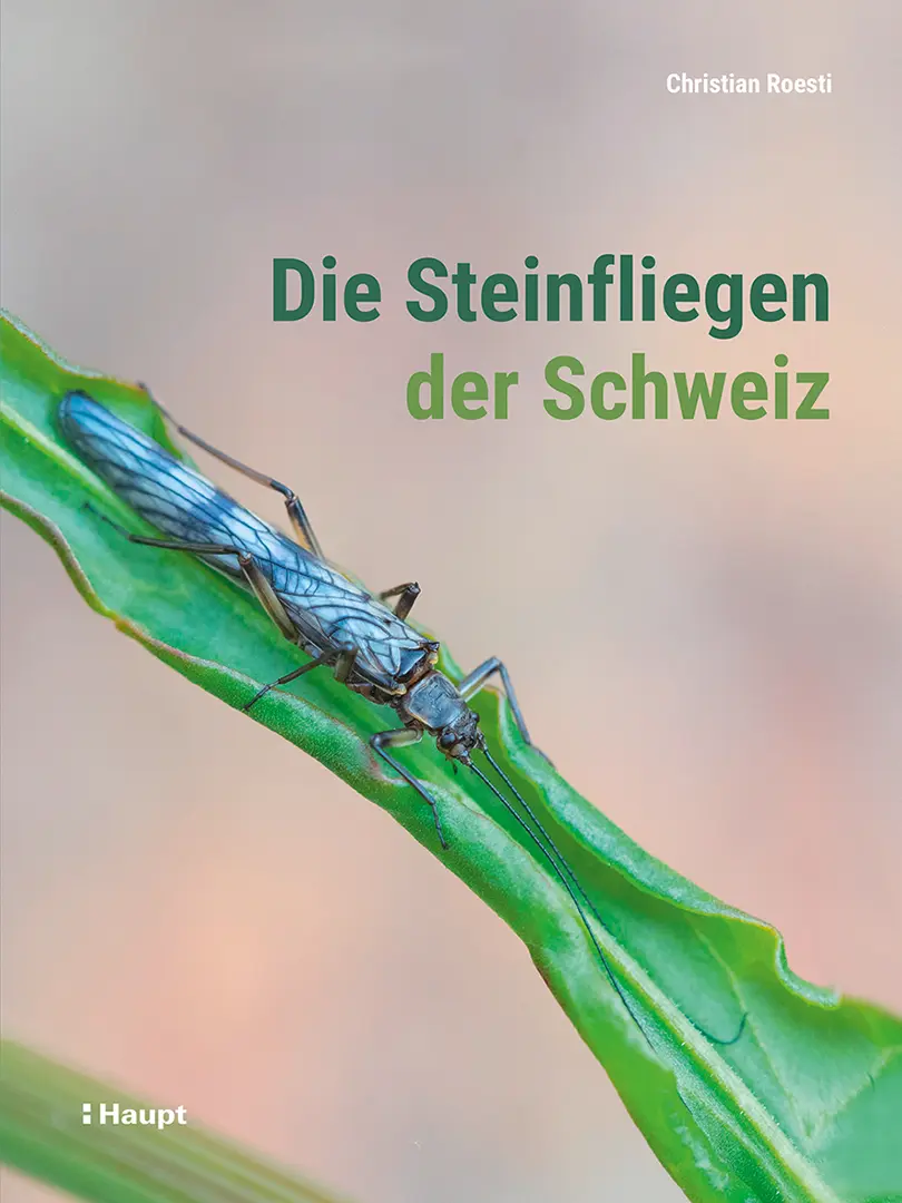 Front Cover Image Die Steinfliegen der Schweiz