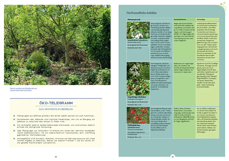 Sample Content (Image) Tiere in meinem Garten