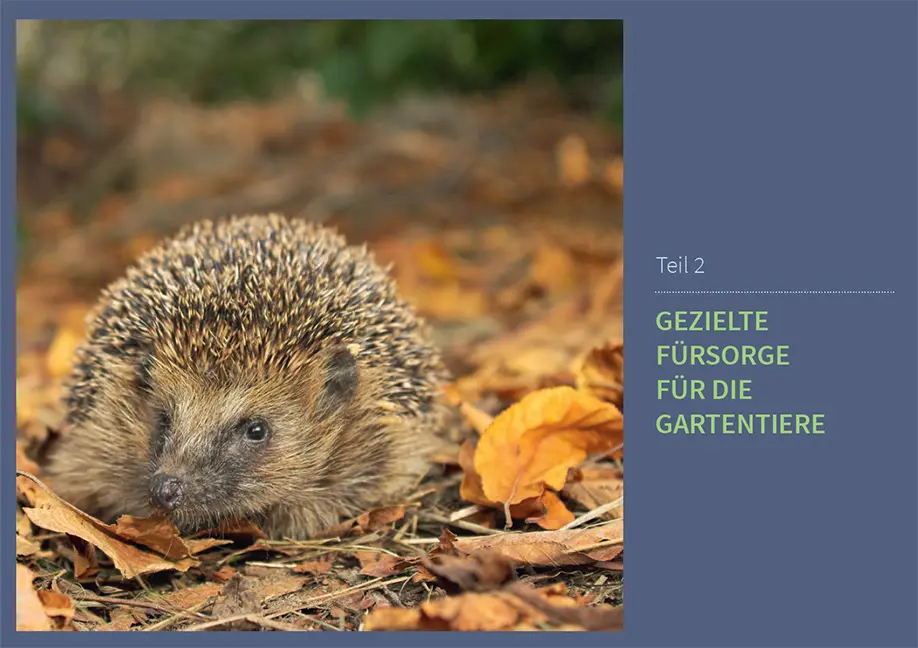Sample Content (Image) Tiere in meinem Garten