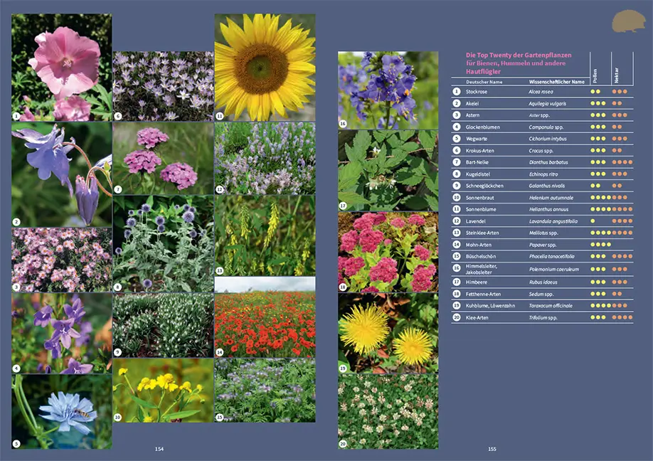 Sample Content (Image) Tiere in meinem Garten