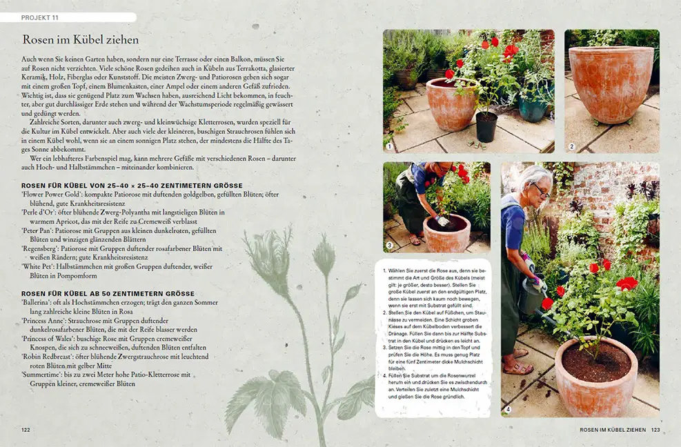 Sample Content (Image) Rosen