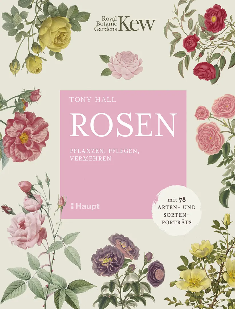 Front Cover Image Rosen