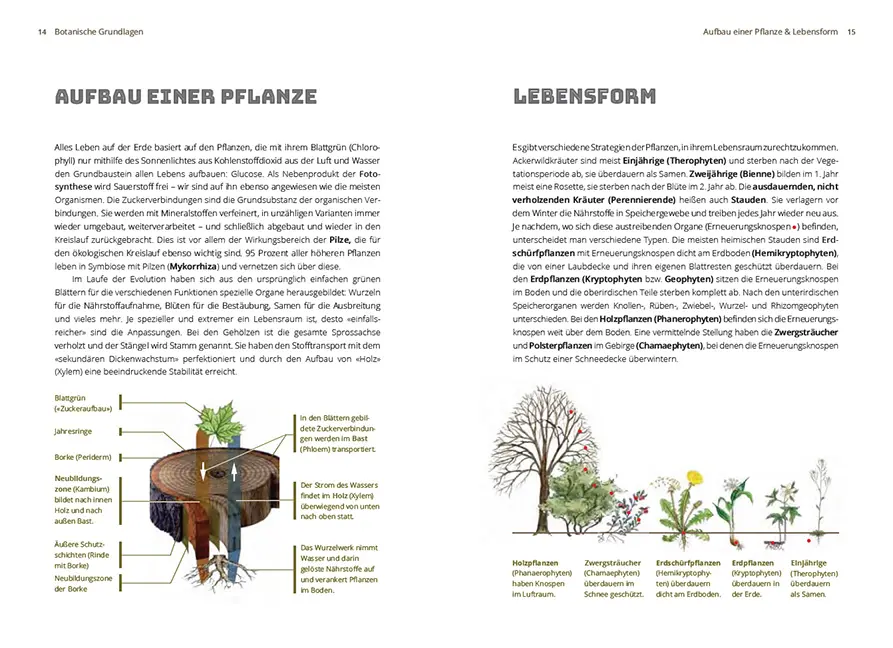 Sample Content (Image) Grundlagen der Feldbotanik