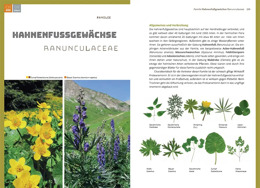 Sample Content (Image) Grundlagen der Feldbotanik