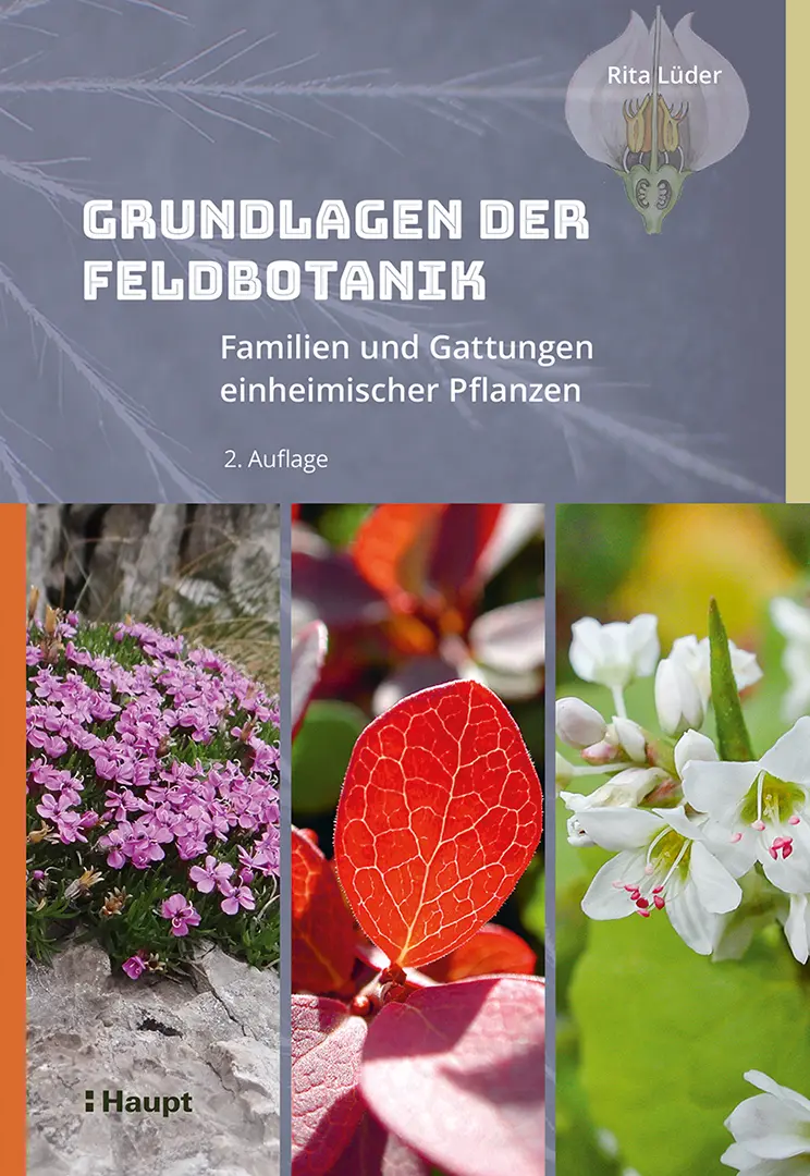 Front Cover Image Grundlagen der Feldbotanik