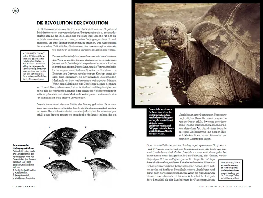 Sample Content (Image) Was die Welt zusammenhält