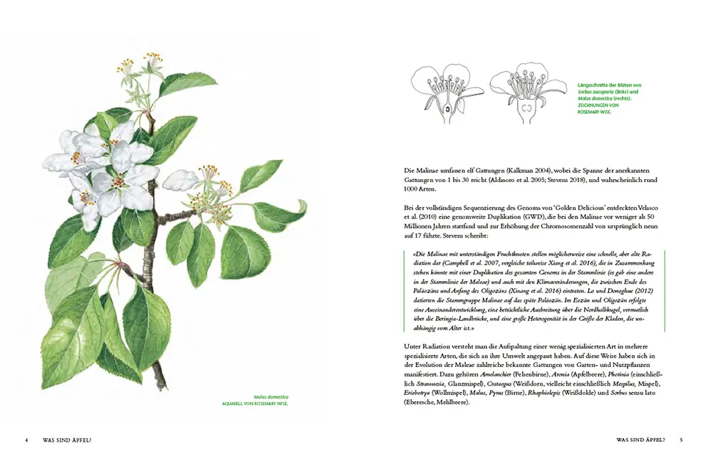 Sample Content (Image) Die Geschichte des Apfels